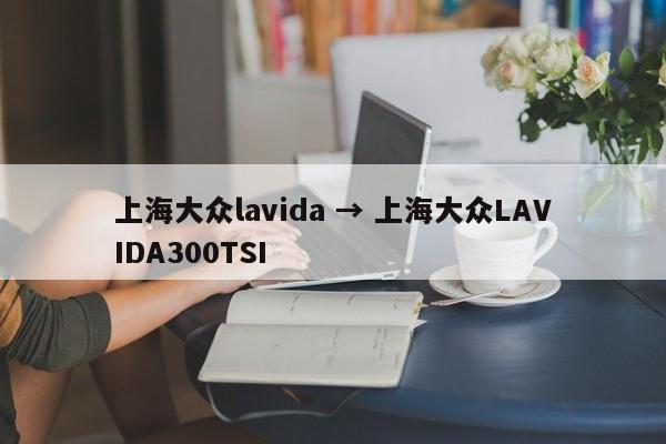 上海大众lavida → 上海大众LAVIDA300TSI