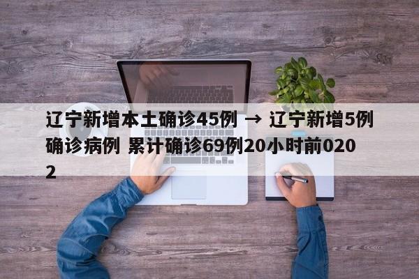 辽宁新增本土确诊45例 → 辽宁新增5例确诊病例 累计确诊69例20小时前0202