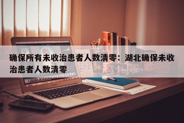 确保所有未收治患者人数清零：湖北确保未收治患者人数清零