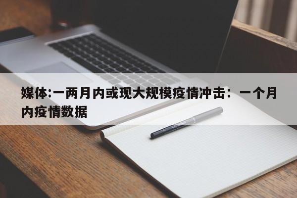 媒体:一两月内或现大规模疫情冲击:一个月内疫情数据
