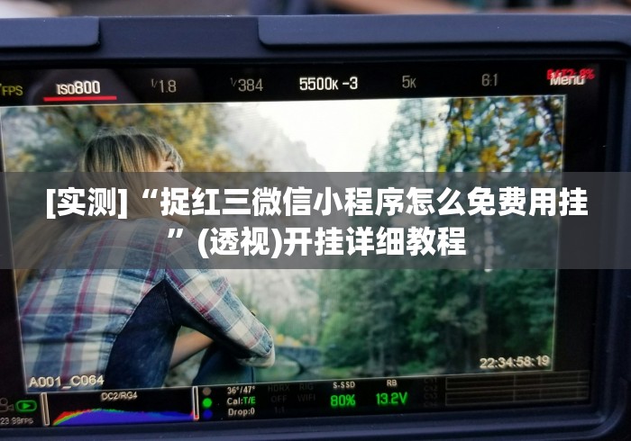 [实测]“捉红三微信小程序怎么免费用挂”(透视)开挂详细教程