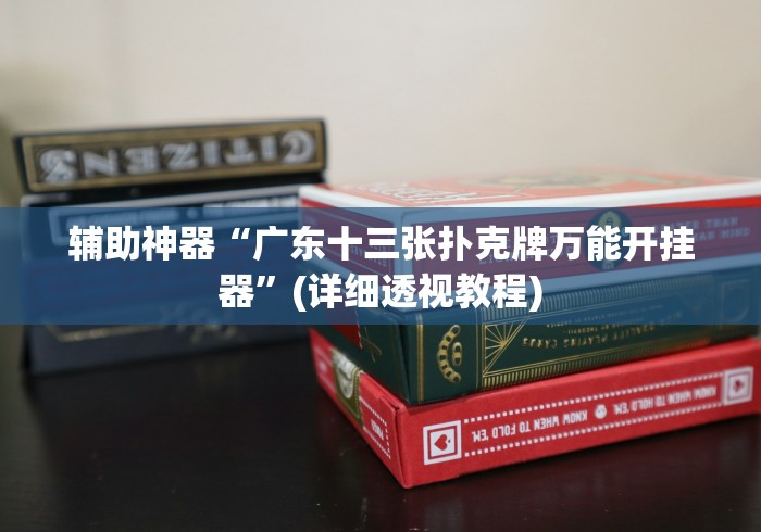 辅助神器“广东十三张扑克牌万能开挂器”(详细透视教程)