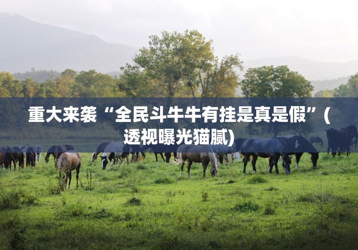 重大来袭“全民斗牛牛有挂是真是假”(透视曝光猫腻)