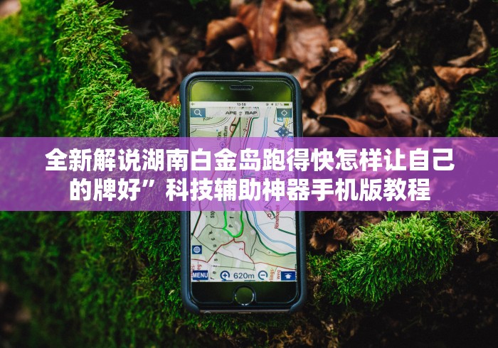 全新解说湖南白金岛跑得快怎样让自己的牌好”科技辅助神器手机版教程
