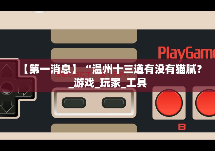 【第一消息】“温州十三道有没有猫腻？_游戏_玩家_工具